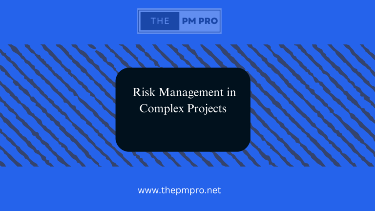 Risk Management in Complex Projects